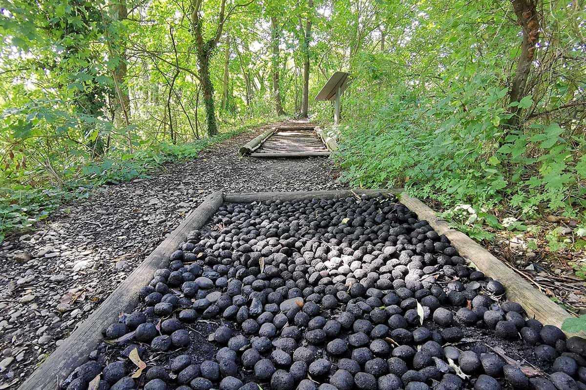 SensoRied: a barefoot sensory trail near Strasbourg